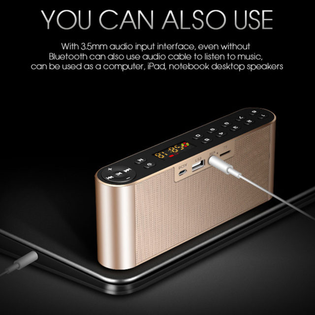 Portable Wireless HiFi Bluetooth Speaker with Microphone